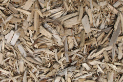 biomass boilers Hardeicke